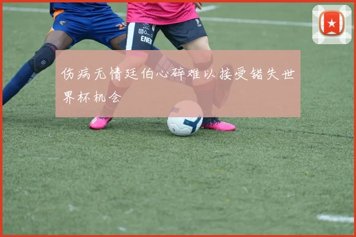 伤病无情廷伯心碎难以接受错失世界杯机会
