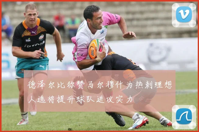 德泽尔比称赞马尔穆什为热刺理想人选将提升球队进攻实力