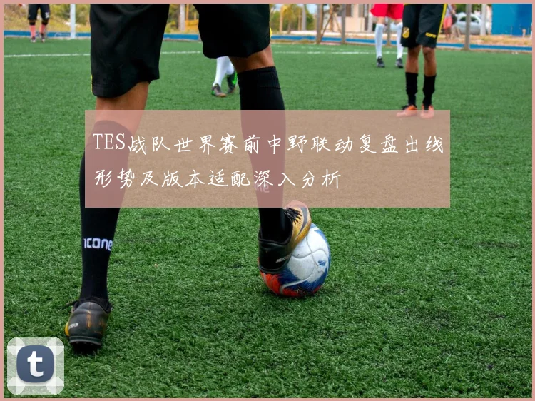 TES战队世界赛前中野联动复盘出线形势及版本适配深入分析